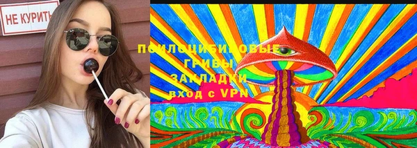 твердый Алексин