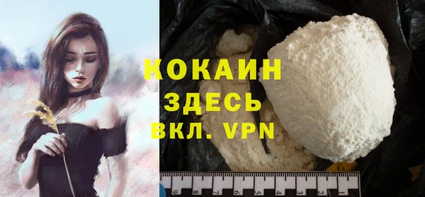 твердый Алексин