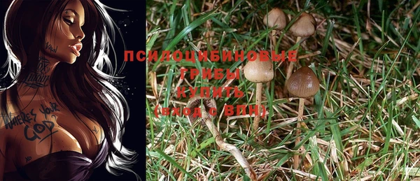 твердый Алексин