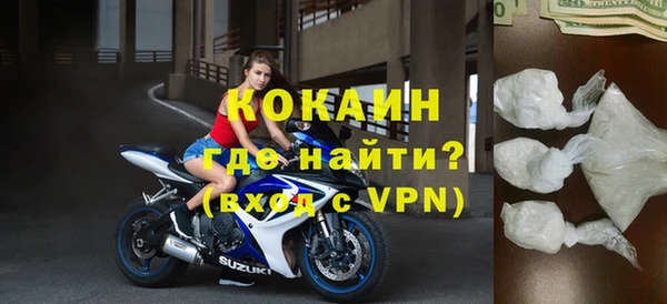 крисы Алзамай