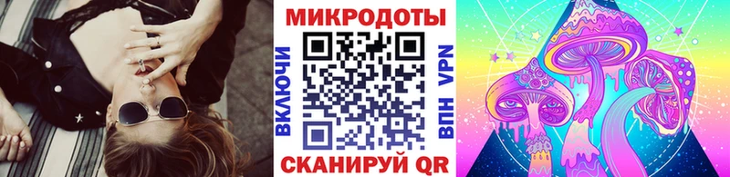 Галлюциногенные грибы Psilocybine cubensis  Оса 